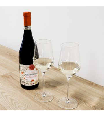 schade sponsor Uitdrukkelijk Vinata wijnglazen kopen? | Wijnklimaatkast.nl