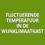 Fluctuerende temperatuur in de wijnklimaatkast