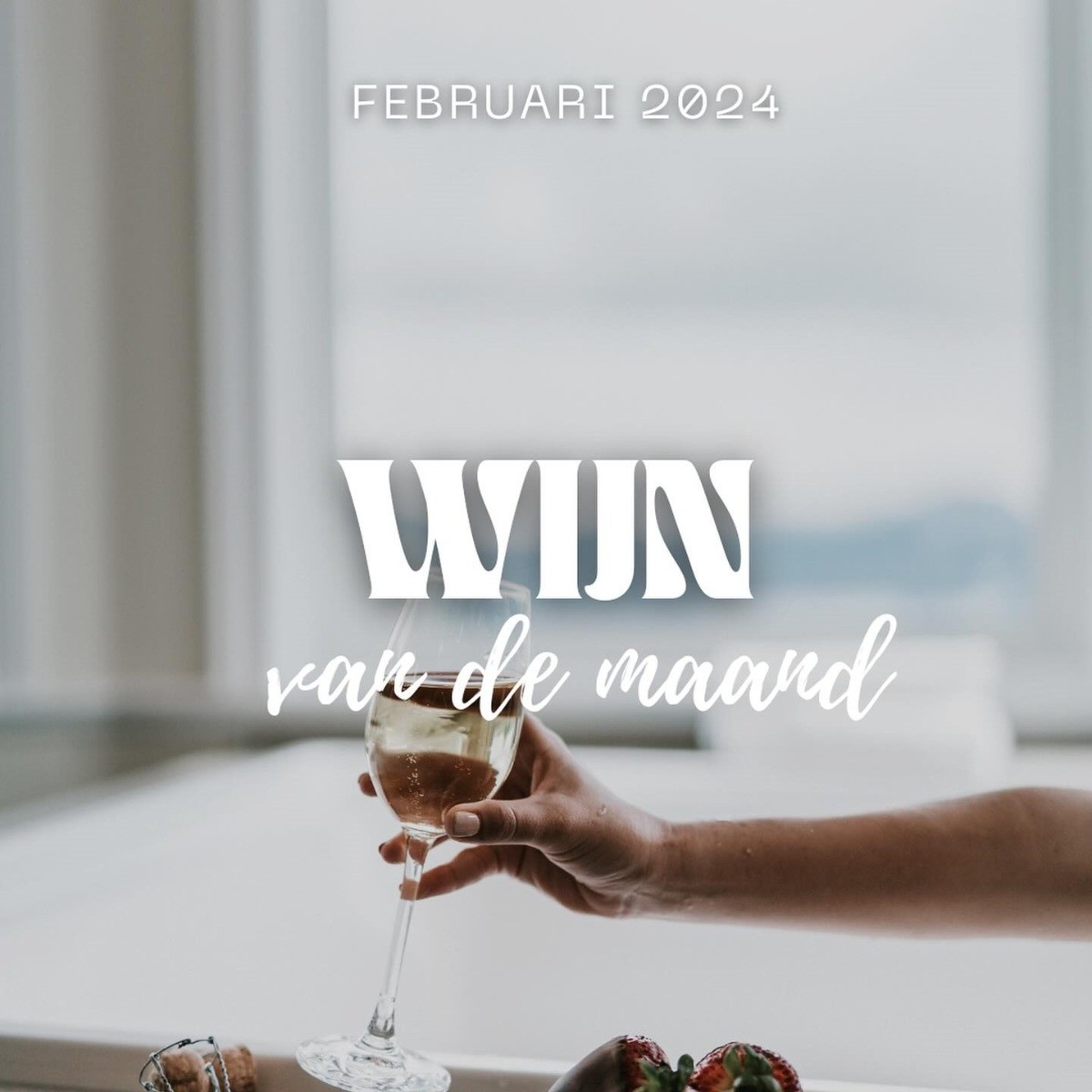 Wijn van de maand februari - Wijnklimaatkast.nl