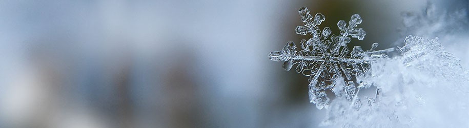 Winterfunctie wijnklimaatkast